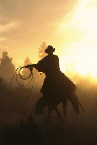 2020 Weekly Planner Horse Photo Equine Cowboy Lasso Sunset 134 Pages