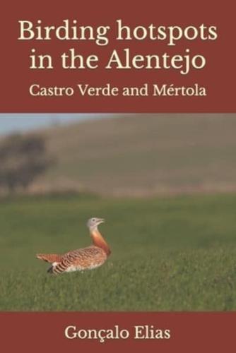 Birding Hotspots in the Alentejo