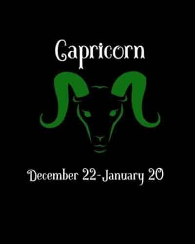 Capricorn Planner