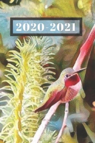Pretty Ruby Red Green Hummingbird in the Garden Bird Lover's Dated Weekly 2 Year Calendar Planner