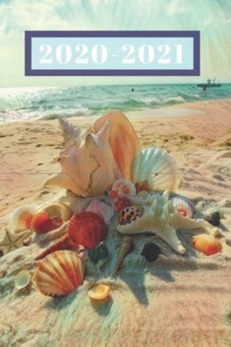 Sunny Beach Lover's Peach Sea Shells on the Shore Dated Weekly 2 Year Calendar Planner