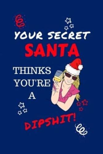 Your Secret Santa Thinks You're A Dipshit