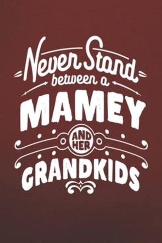 Never Stand Between A Mamey And Her Grandkids