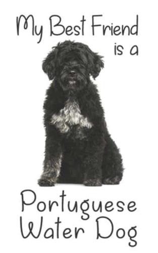 My Best Friend Is a Portuguese Water Dog
