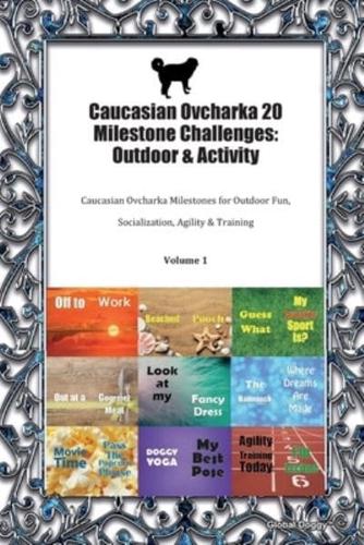Caucasian Ovcharka 20 Milestone Challenges