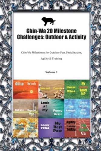 Chin-Wa 20 Milestone Challenges