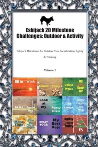 Eskijack 20 Milestone Challenges
