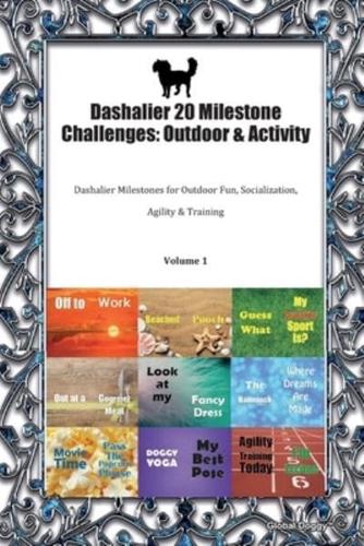 Dashalier 20 Milestone Challenges