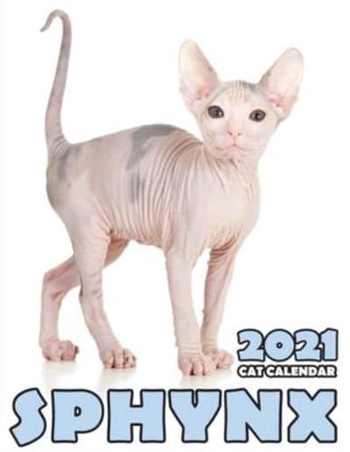 Sphynx 2021 Cat Calendar
