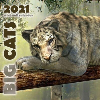 Big Cats 2021 Mini Wall Calendar