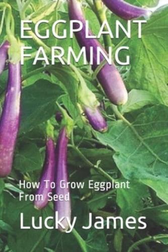 Eggplant Farming