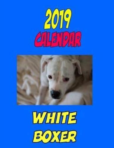 2019 Calendar White Boxer