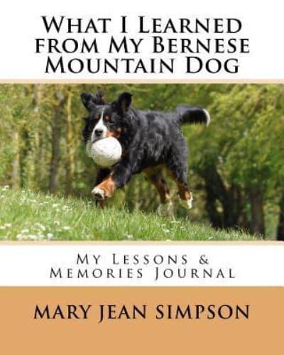 What I Learned from My Bernese Mountain Dog