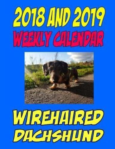 2018 and 2019 Weekly Calendar Wirehaired Dachshund