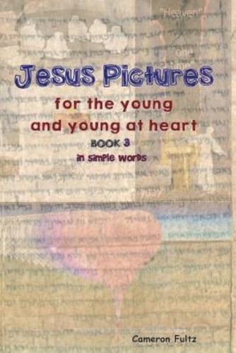 Jesus Pictures For The Young And Young At Heart - Book 3