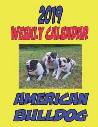 2019 Weekly Calendar American Bulldog