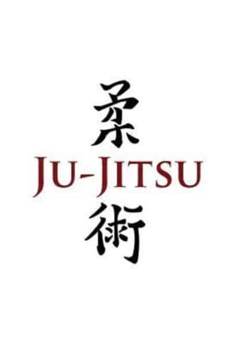 Brazilian Jiu Jitsu Bjj Journal Log