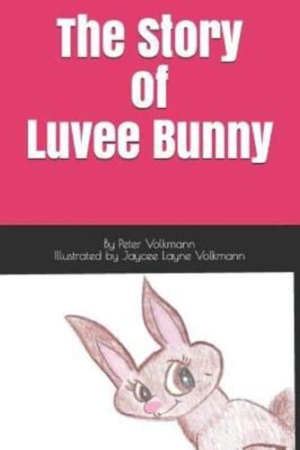 The Story of Luvee Bunny