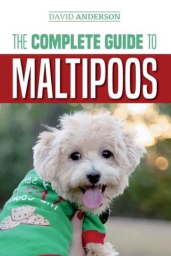 The Complete Guide to Maltipoos: Everything you need to know before getting your Maltipoo dog