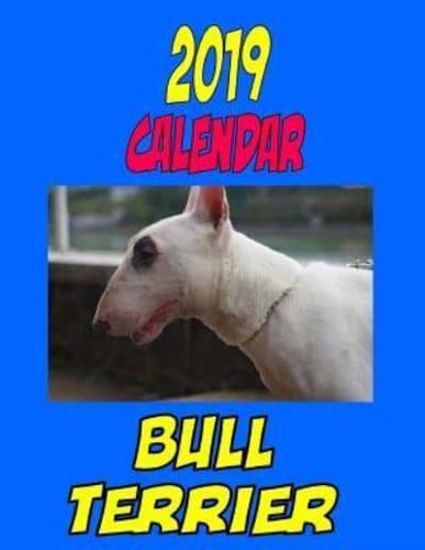 2019 Calendar Bull Terrier
