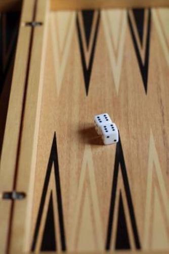 Backgammon Themed