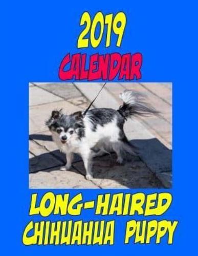 2019 Calendar Long-Haired Chihuahua Puppy