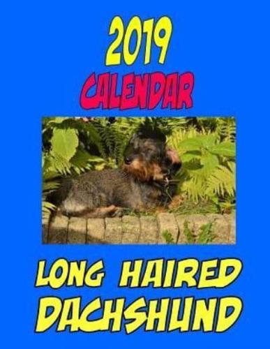 2019 Calendar Long Haired Dachshund