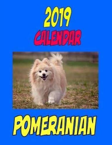 2019 Calendar Pomeranian