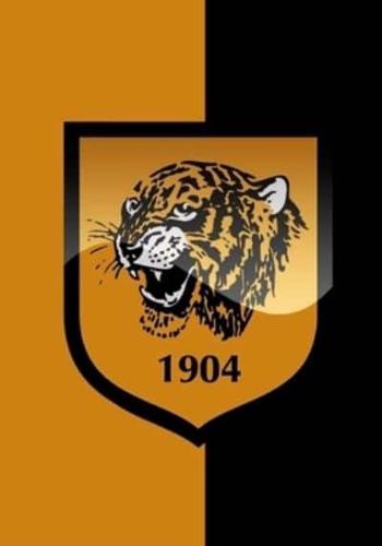 Hull City Diary