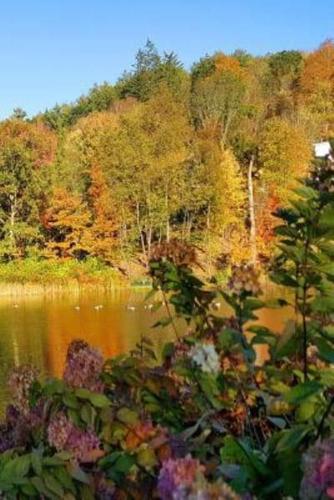Fall Colors Autumn Lake Reflection 2019 Daily Planner 384 Pages