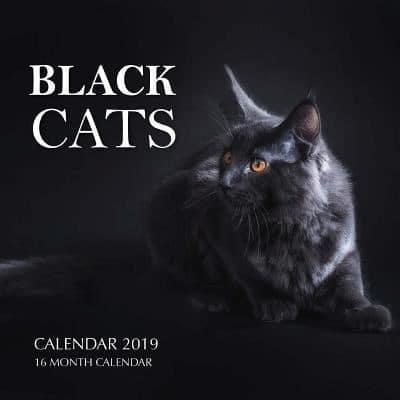 Black Cats Calendar 2019