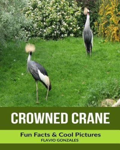 Crowned Crane