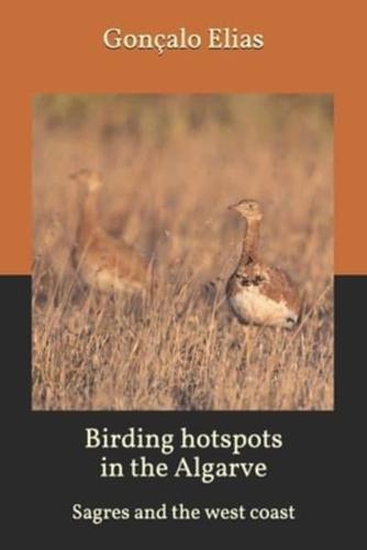 Birding Hotspots in the Algarve