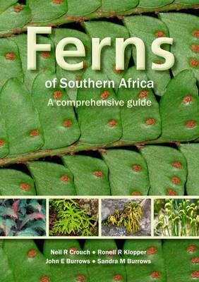 Ferns of Southern Africa