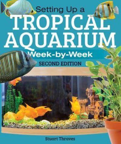 Setting Up a Tropical Aquarium