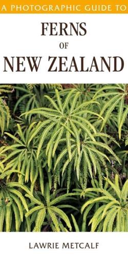 A Photographic Guide To Ferns Of New Zealand