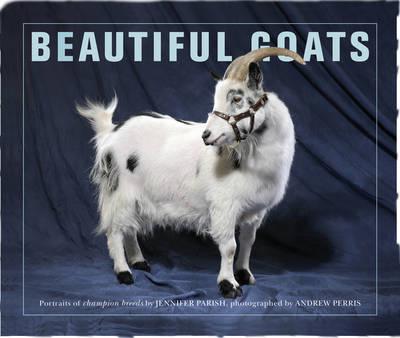 Beautiful Goats