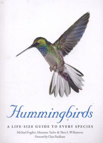 Hummingbirds