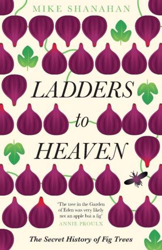 Ladders to Heaven