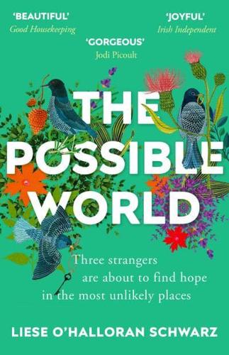 The Possible World