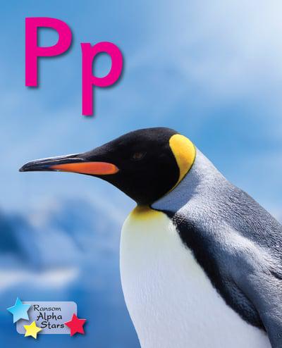 Pp