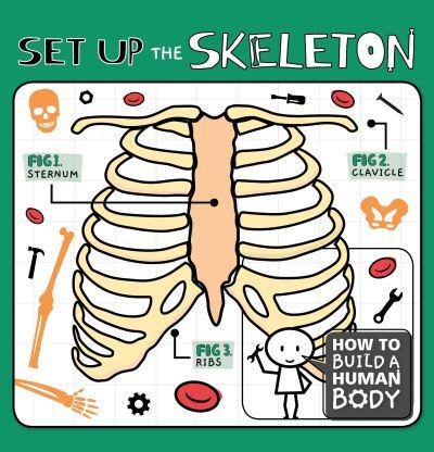 Set Up the Skeleton