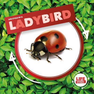 Life Cycle of a Ladybird
