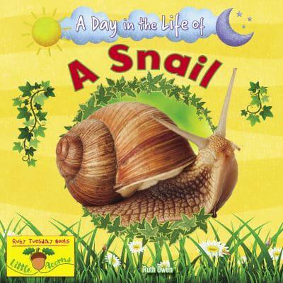 A Day in the Life of a Snail