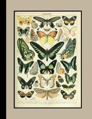 Vintage Botanical Illustration Journal
