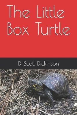 The Little Box Turtle