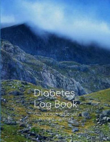 2 Year Large Diabetes Log Book Journal