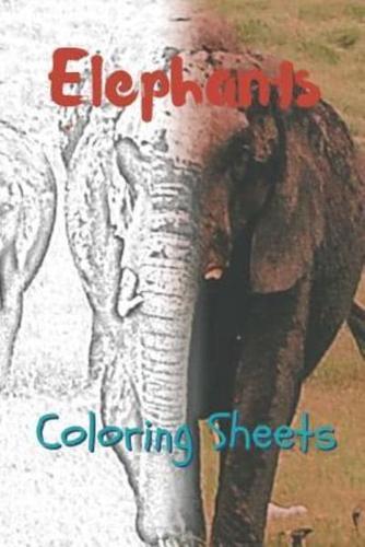 Elephant Coloring Sheets