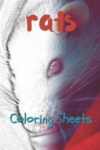 Rat Coloring Sheets