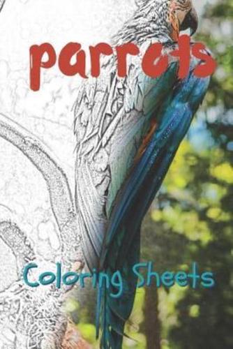 Parrot Coloring Sheets